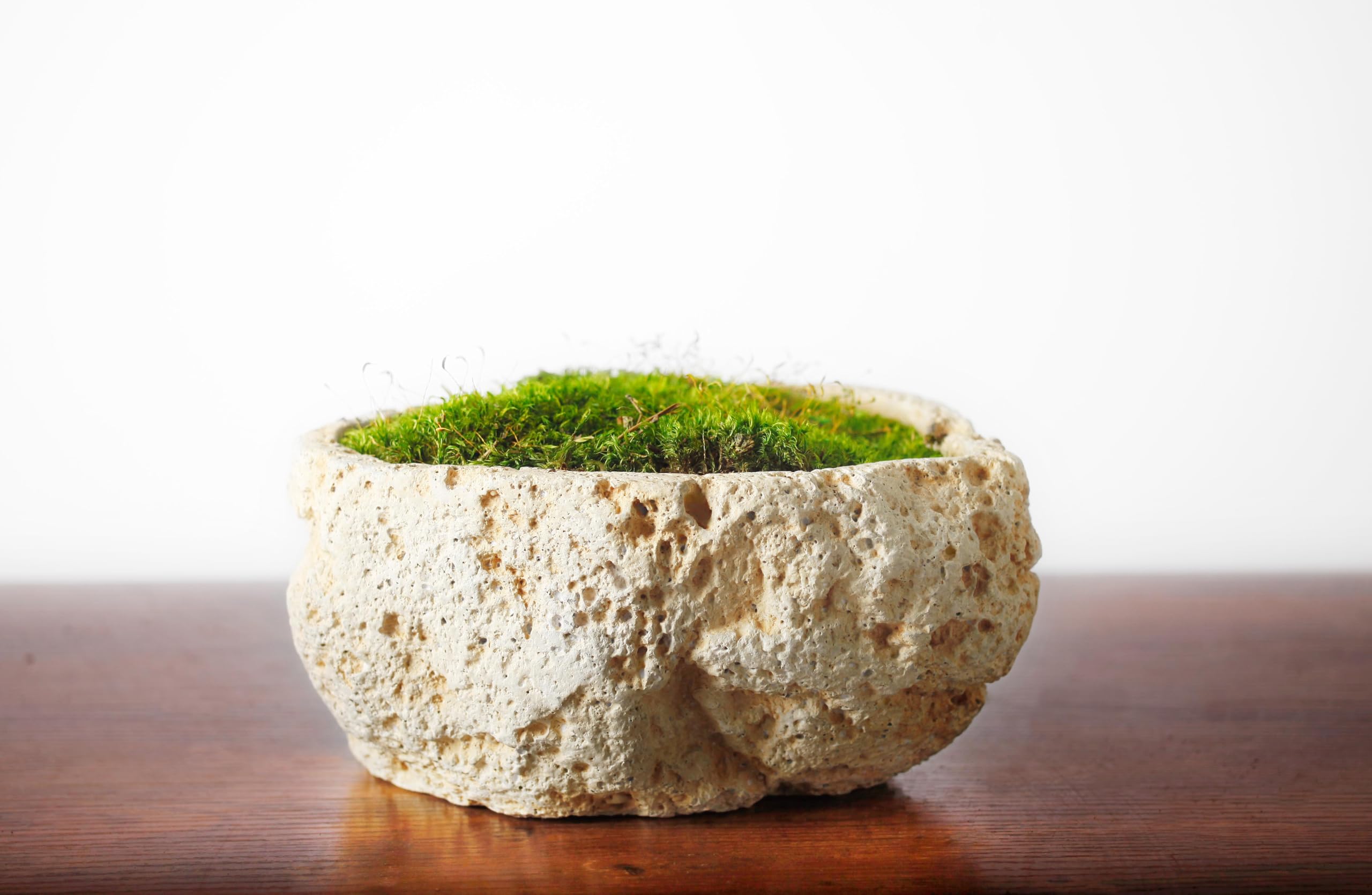 ⬛︎ココスマ⬛︎フレッシュミモザのリース Amazon.com: SuperMoss (21538) Mood Moss Preserved, Fresh Green, 3